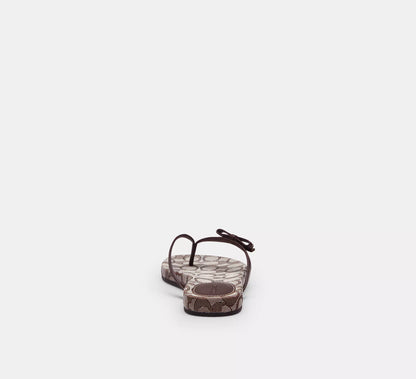 Bow Flip Flop In Signature