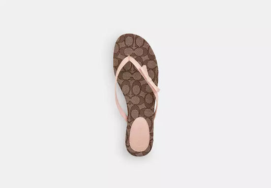 Bow Flip Flop In Signature